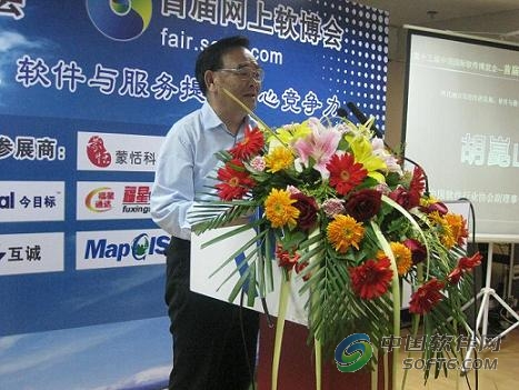 中国软件行业协会秘书长胡崑山