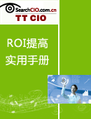 IT项目ROI提高实用手册