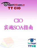 CIO成功实施SOA指南