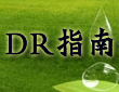 DR指南